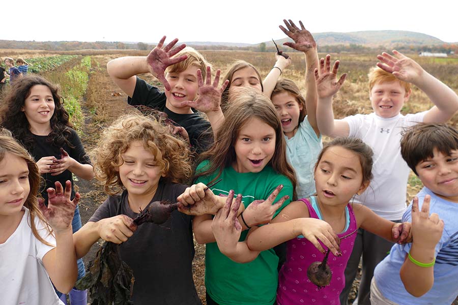 School Farm Trips