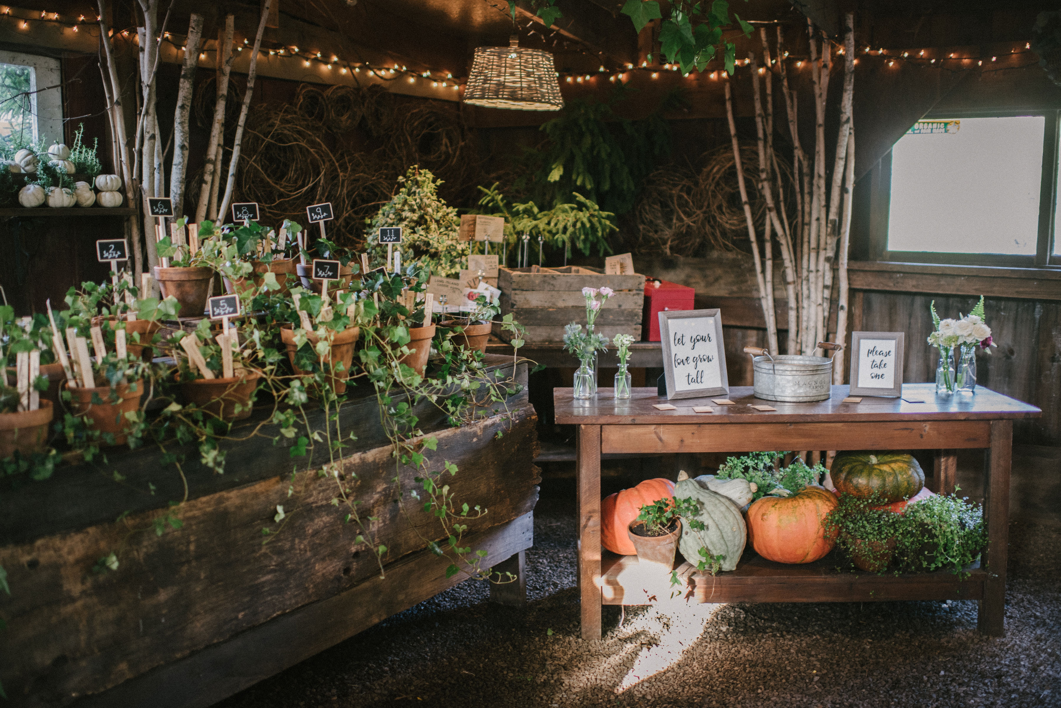 Blooming Hill Farm Weddings