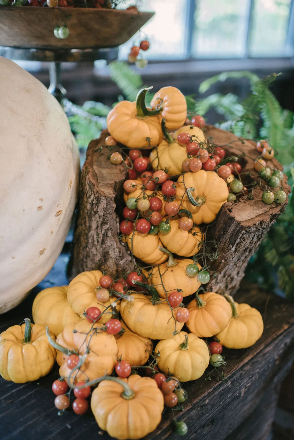 Blooming Hill Farm Weddings