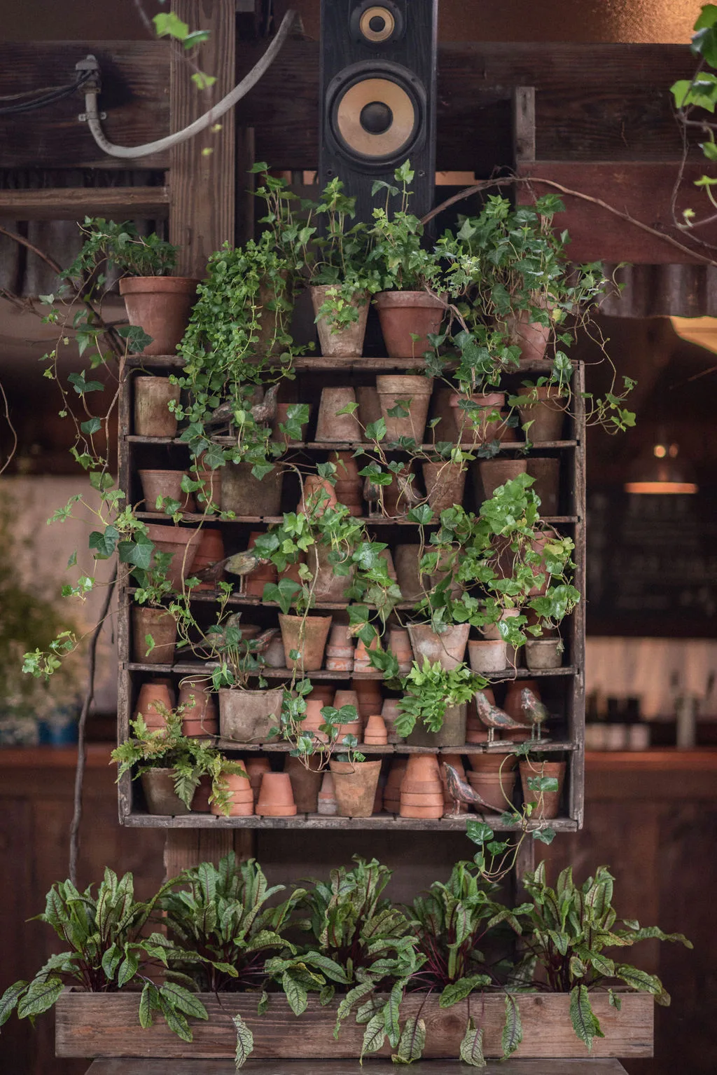 Blooming Hill Farm Weddings