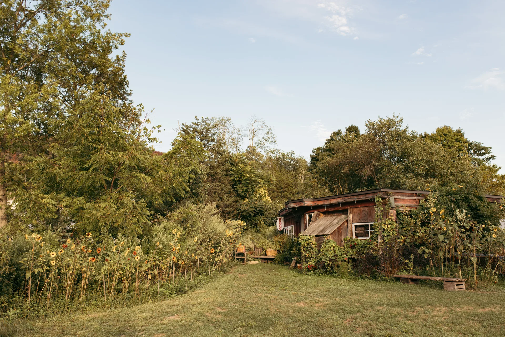 Blooming Hill Farm Weddings