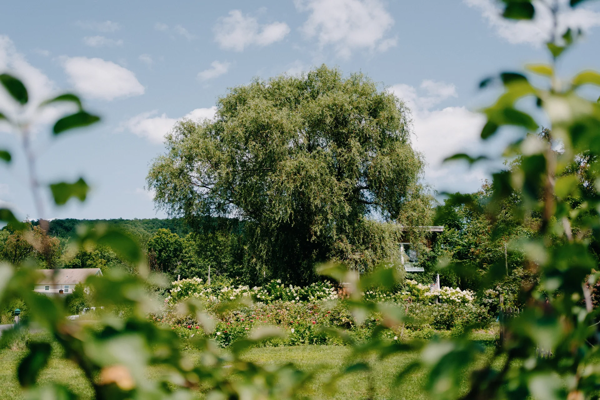 Blooming Hill Farm Weddings