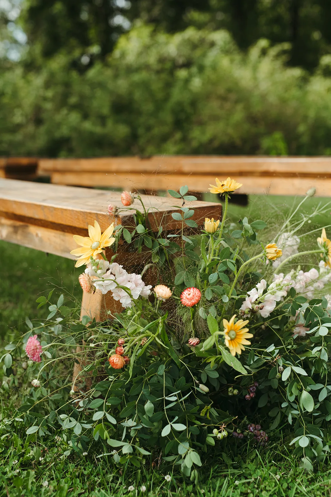 Blooming Hill Farm Flowers