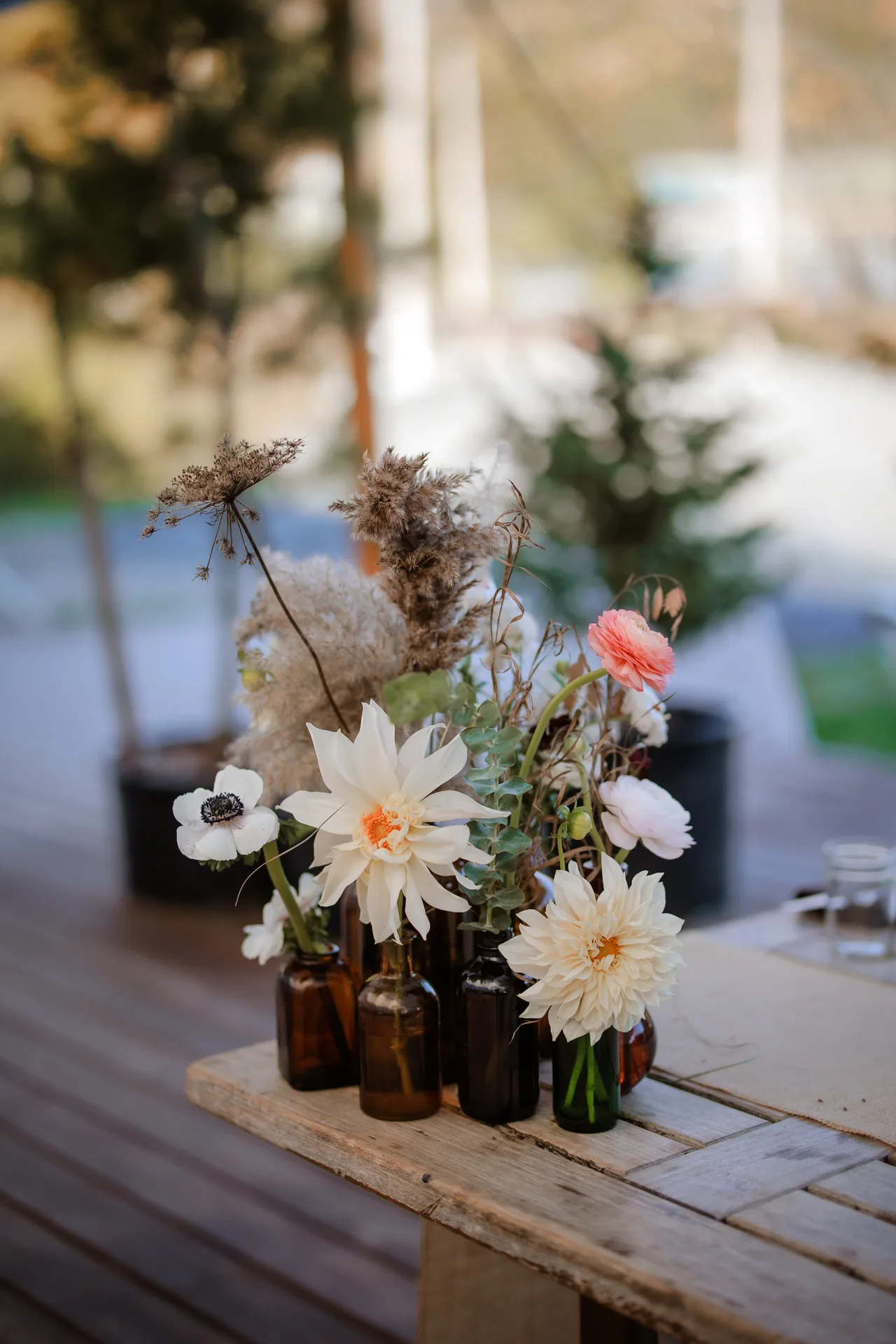 Blooming Hill Farm Flowers