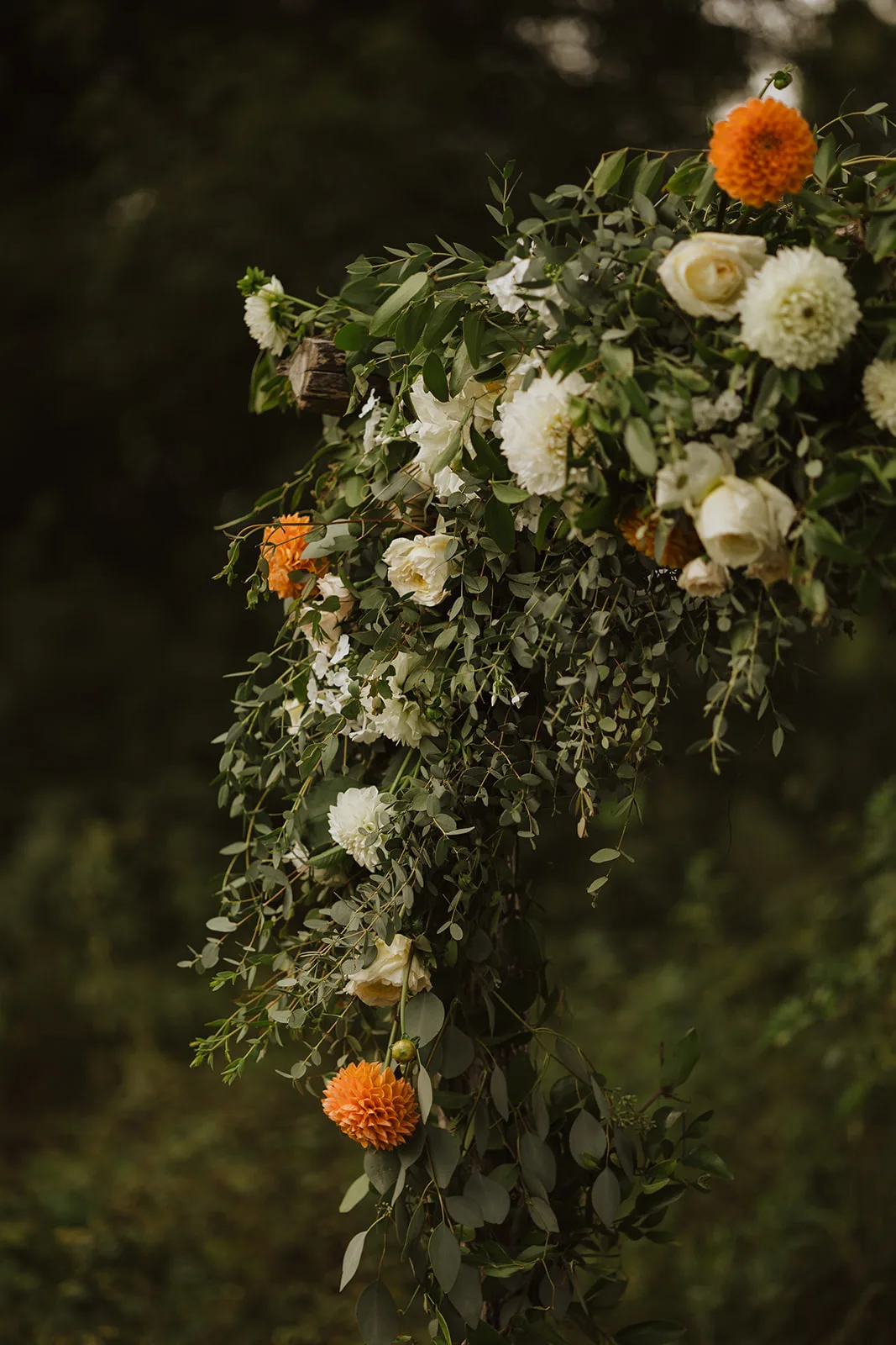 Blooming Hill Farm Flowers