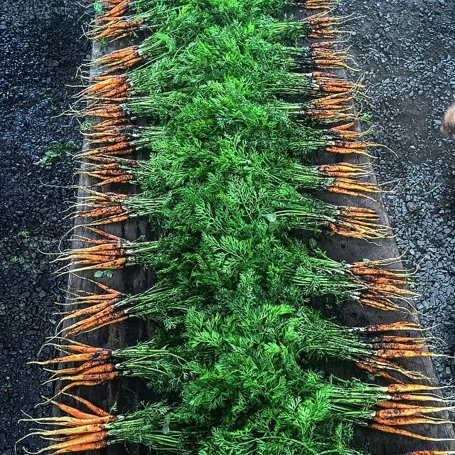 Blooming Hill Farm Market