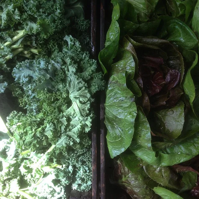 Blooming Hill Farm Market