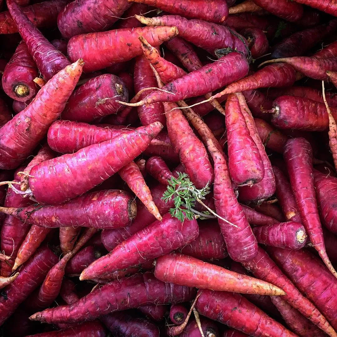 Blooming Hill Farm Market
