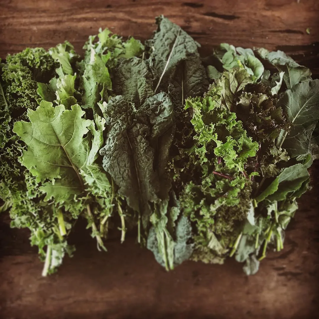 Blooming Hill Farm Market