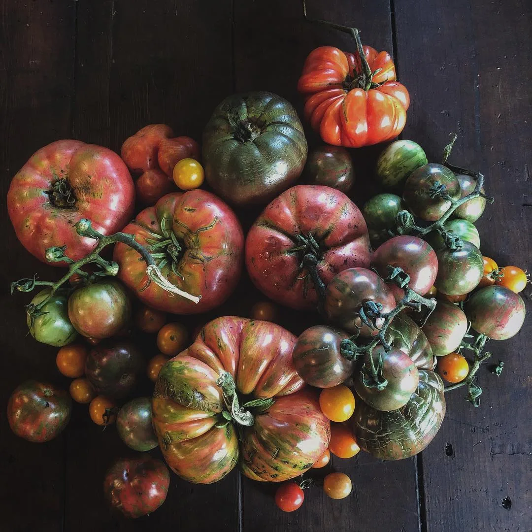 Blooming Hill Farm Market