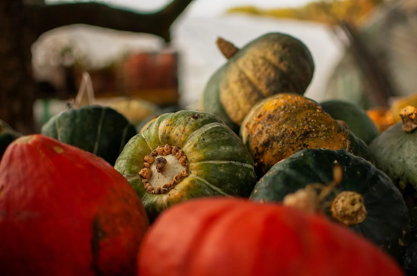 Blooming Hill Farm Market