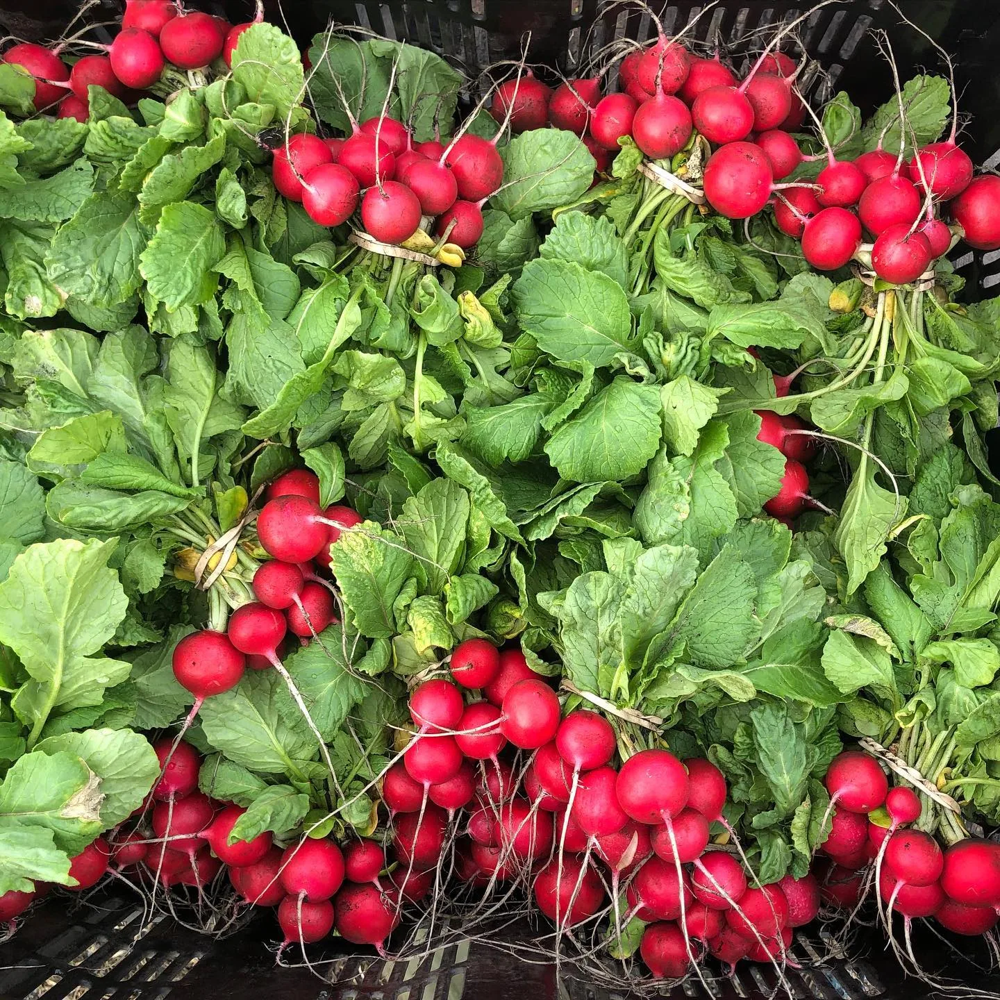 Blooming Hill Farm Market